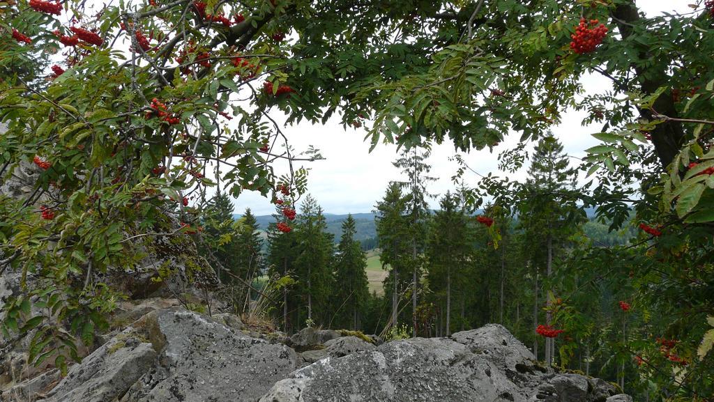 Landidyll Landhaus Liesetal هالنغبرغ المظهر الخارجي الصورة